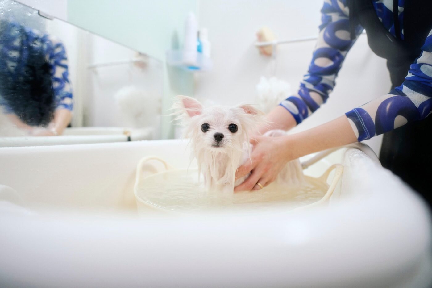 Spa & Hygiene Bath