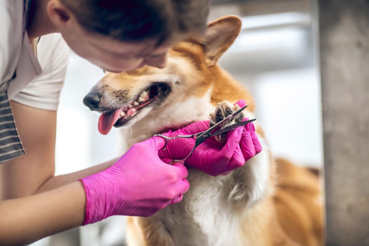 Nail & Paw Care
