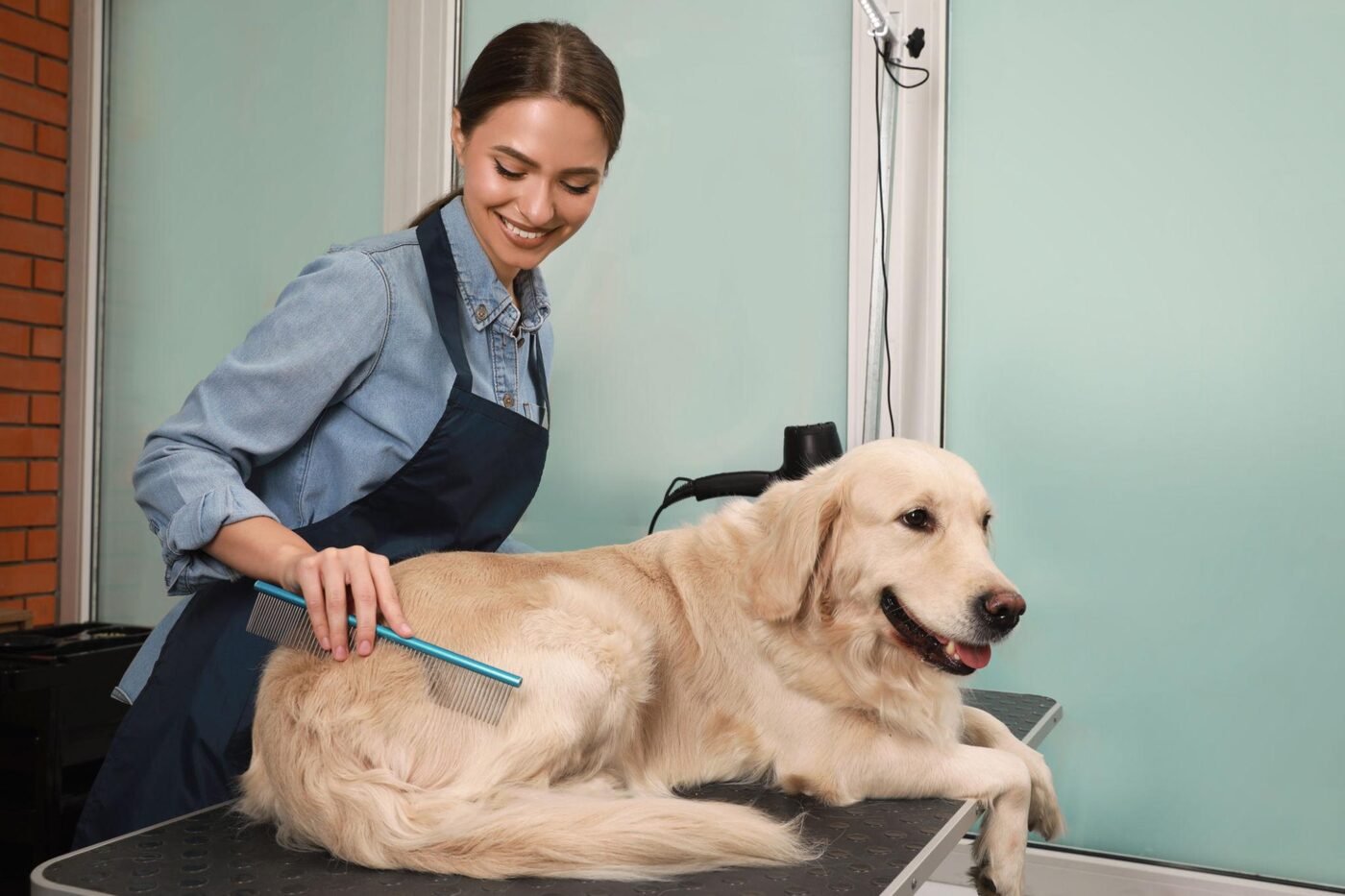 Full Grooming & Spa